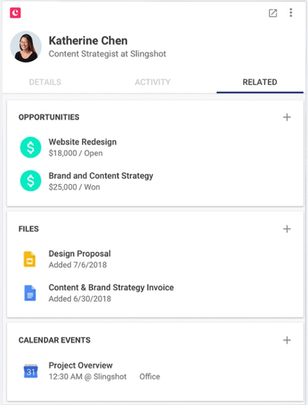 example of crm for consulting business in netherlands